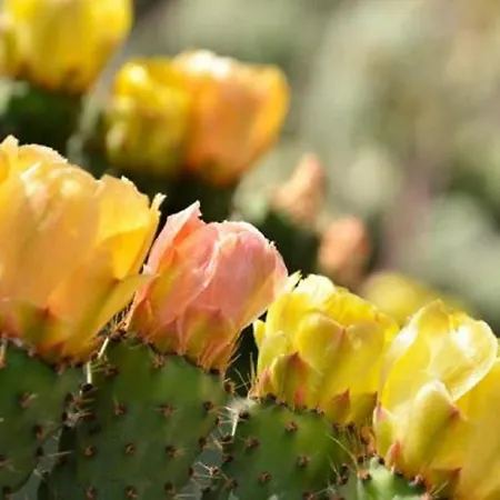 Gianni House Backpackers